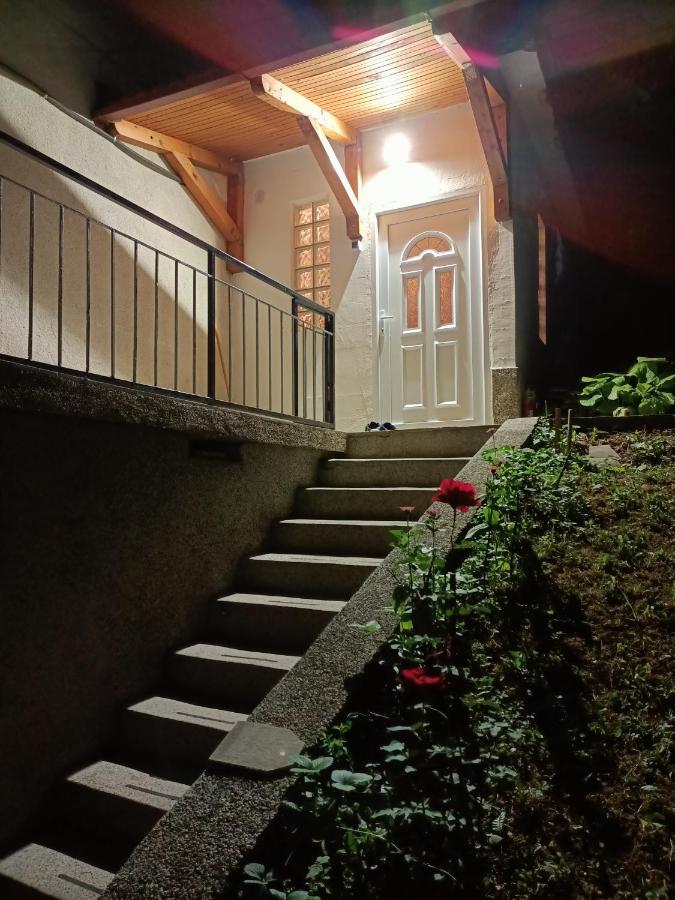 Apartman Terezija, Centar Apartment